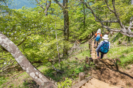 Tanzawa Mountain Trailの写真素材