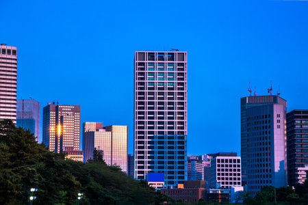 The Tokyo sky