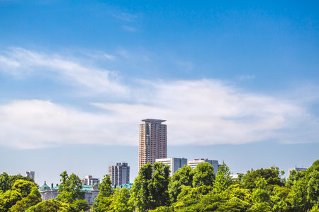 The Tokyo sky