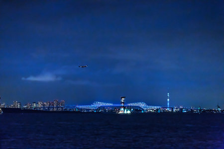 The Sea of Tokyo