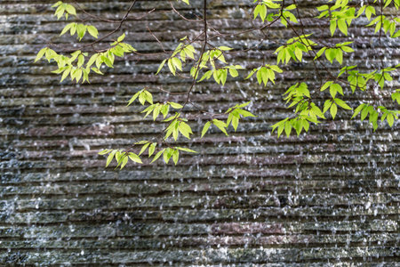 The wall and water falls background.