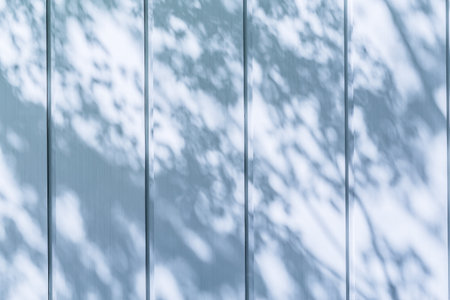 a concrete wall with the shadow of a tree
