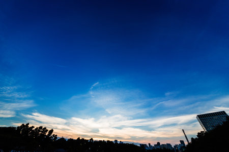 The Tokyo skyの写真素材