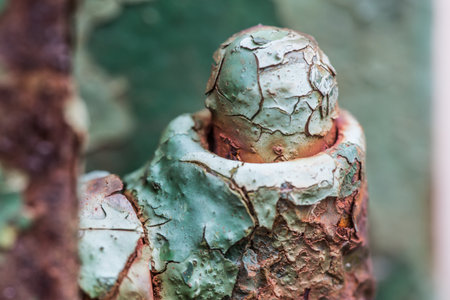 Rusty iron parts background.の写真素材