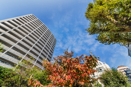 Autumn leaves in the city