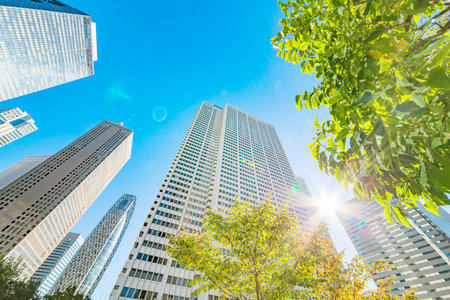 Urban Buildings and Treesの写真素材