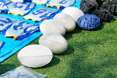 Rugby match venue