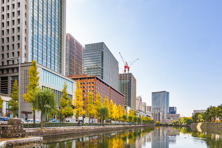 The trees of the autumn leaves which color the cityの写真素材