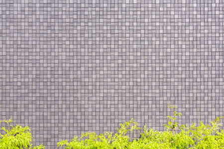 Fine tile wallの写真素材