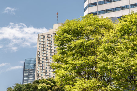 Shinjuku high-rise buildings in fine weatherの写真素材