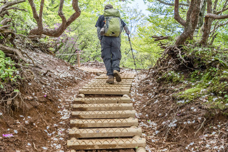 a person who is hikingの写真素材