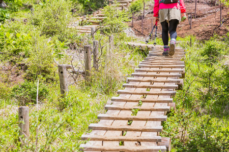 a person who hikes on a fresh green mountain