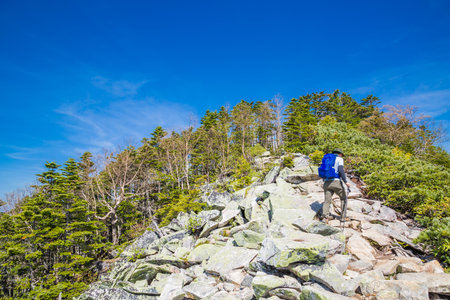 Fresh green mountains and mountain trailsの写真素材