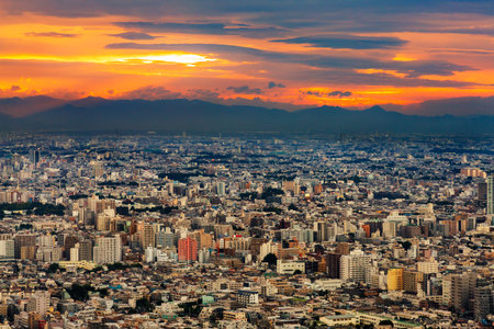 Night view of Tokyo from Shinjuku high-rise buildingの写真素材