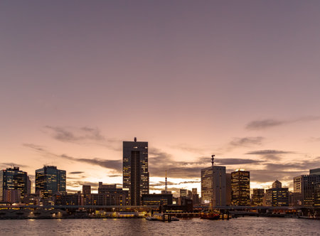 The city of Tokyo at dusk