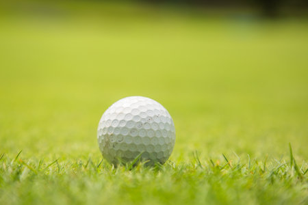 Fresh Green Golf Courseの写真素材