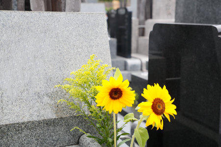 Tombstones and Flowers in the Cemeteryの写真素材