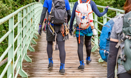 Mountain trail bridge