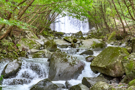 Fresh Green and River