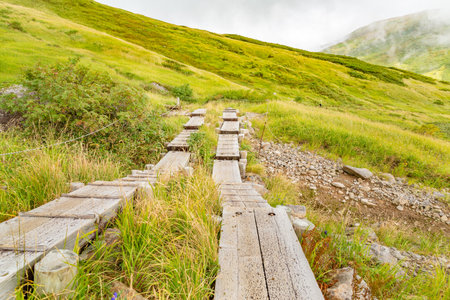 Mountain trail in early autumn, Tsukiyama, Yamagata Prefectureの写真素材
