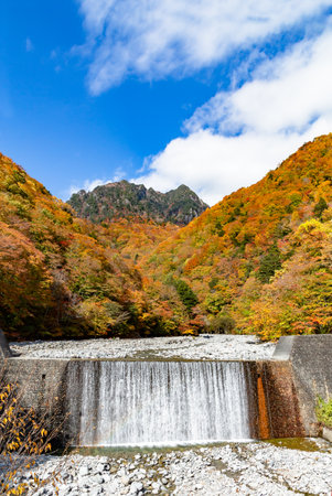Bright autumn leaves and waterfalls in Nishizawa Valley
Nishizawa Valley is a tourist attraction in Japan.
The season of autumn leaves and fresh green is famous.の写真素材
