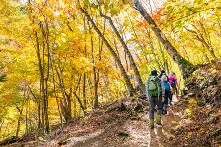The bright autumn leaves trail of Nishizawa ValleyNishizawa Valley is a tourist attraction in Japan.The season of autumn leaves and fresh green is famous.の写真素材