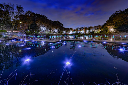 A pond with fantastic lights