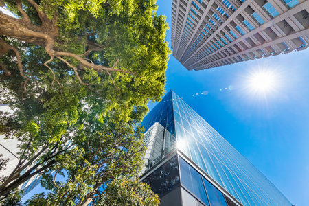 Fresh Green and Buildingsの写真素材