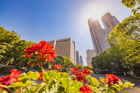 Fresh Green and Buildingsの写真素材