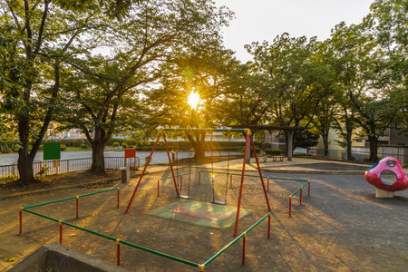 The park in the evening with a long shadow
