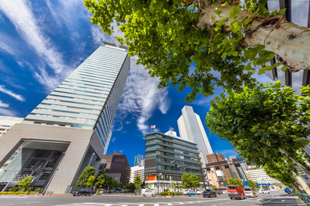New greenery and urban buildings
