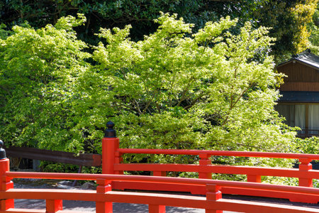 New Green and Vermillion Bridgeの写真素材