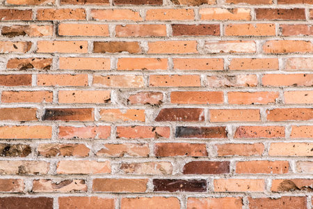 Brick wallの写真素材