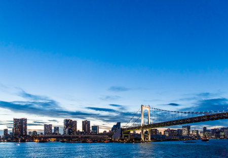 The city of Tokyo at dusk