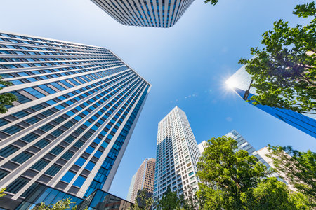 Fresh green trees and buildings in Tokyoの写真素材