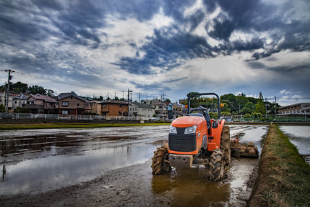 Paddy fields and cultivators in the suburbs of Yokohamaの写真素材