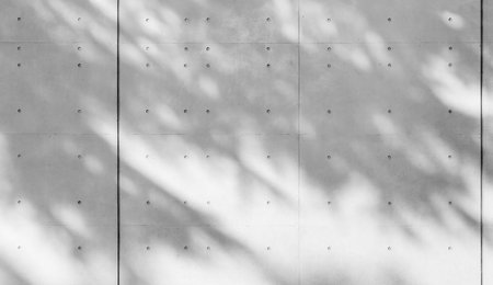 Concrete walls reflecting the shadow of a treeの写真素材