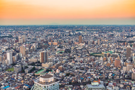 The cityscape of Tokyo at dusk on a sunny day