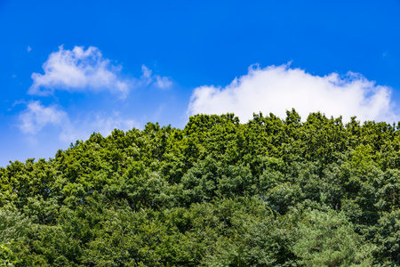 Blue sky, clouds and fresh green mountainsの写真素材