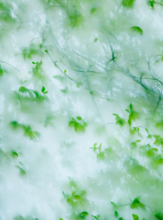 Fresh green leaves visible through translucent glassの写真素材