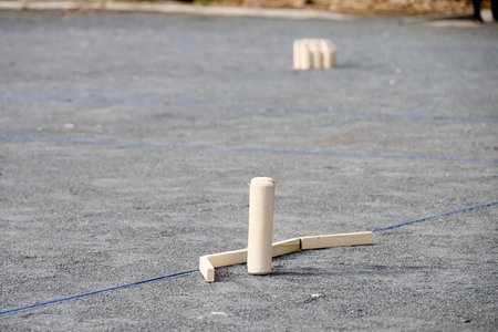 Mollk, a traditional Finnish sportの写真素材