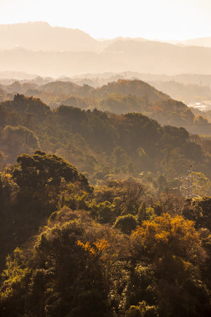Beautiful mountains and autumn leaves
