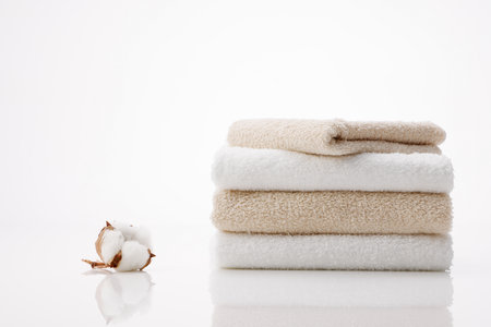 èã«åªããããªå¤©ç¶ç´ æã®ã¿ãªã«のeditorial素材