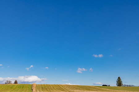 The view on the hill where the blue sky is beautiful