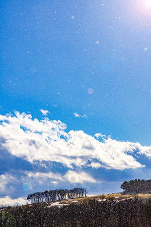 Powder snow dancing in the beautiful blue sky on the hillの写真素材