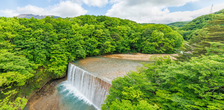 Beautiful river and fresh green trees flowing through the mountains