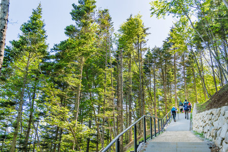 A well-maintained mountain trail up to the Shindo Pass Observatory with a good view of Mt. Fujiの写真素材