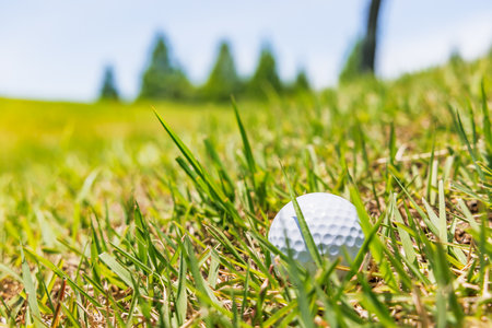 Golf course with beautiful green grassの写真素材