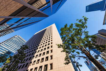 Tokyo buildings with beautiful morning light
