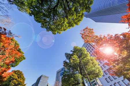 Tokyo buildings with beautiful sunshineの写真素材